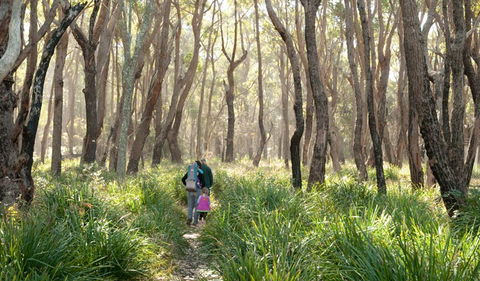 Nerindillah Lagoon Walking Track - Inverell Accommodation 3