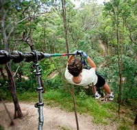 TreeTop Challenge - Inverell Accommodation