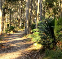 Square Head track 2 - Inverell Accommodation