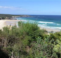 South Pacific Heathland Reserve - Inverell Accommodation
