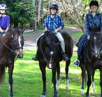 Kings Creek Saddle Club - Inverell Accommodation