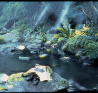 Coomera circuit - Inverell Accommodation