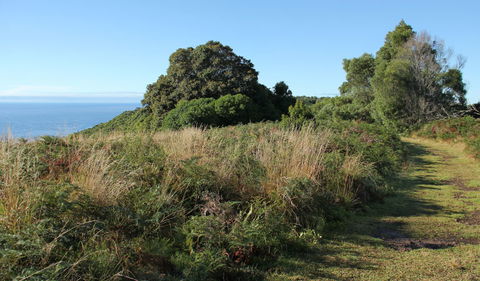 Pretty Beach To Durras Mountain Walking Track - Inverell Accommodation 2