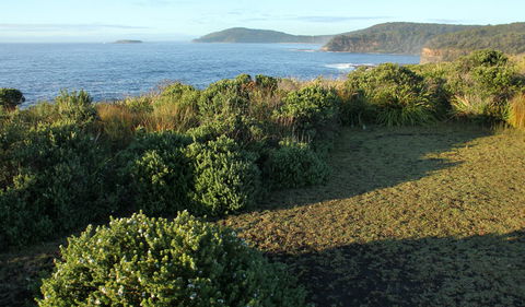 Pretty Beach To Durras Mountain Walking Track - Inverell Accommodation 3