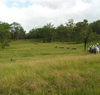 Numinbah Valley Adventure Trails - Inverell Accommodation