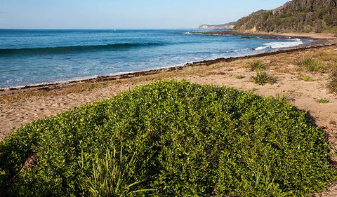 Richmond Beach - Inverell Accommodation 0