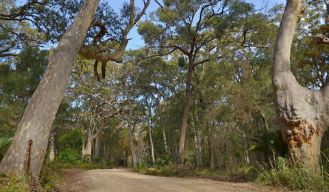 North Head Lookout - Inverell Accommodation 1
