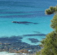 Jervis Bay Marine Park - Inverell Accommodation