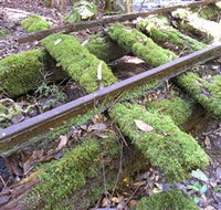 Wootton Historical Railway Walk - Inverell Accommodation