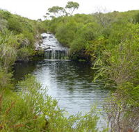 Booderee National Park Green Patch and Telegraph Creek Walking Tracks - Inverell Accommodation