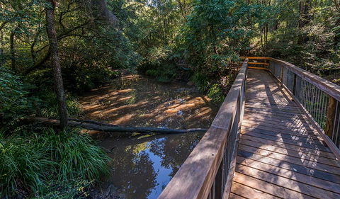 Ms Kellys Walking Track - Inverell Accommodation 0
