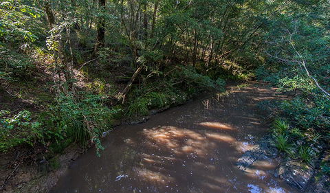 Ms Kellys Walking Track - Inverell Accommodation 2