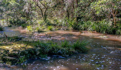 Ms Kellys Walking Track - Inverell Accommodation 3