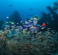 Aarhus Dive Site - Inverell Accommodation