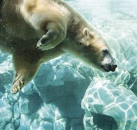 Australia's Sea World - Inverell Accommodation