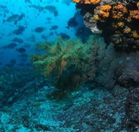 Henderson Rock Dive Site - Inverell Accommodation