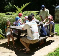 The Pines picnic area - Inverell Accommodation