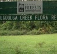 Woolgoolga Creek Flora Reserve - Inverell Accommodation