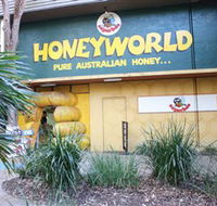 Superbee Honeyworld Gold Coast - Inverell Accommodation