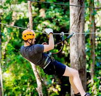 TreeTop Challenge Currumbin - Inverell Accommodation