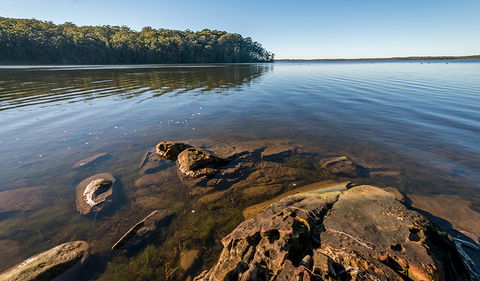 Queens Lake Nature Reserve - Inverell Accommodation 0