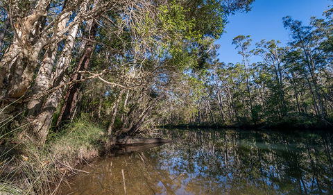 Queens Lake Nature Reserve - Inverell Accommodation 3