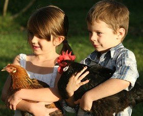 Summerland House Farm - House With No Steps - Inverell Accommodation 2