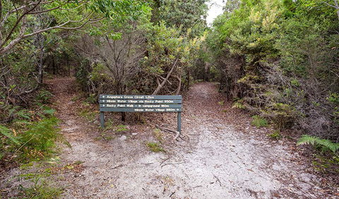 Angophora Grove Walking Track - Inverell Accommodation 0