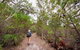 Angophora Grove Walking Track - thumb 1