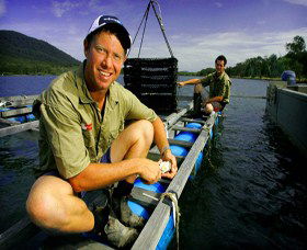 Armstrong Oysters - Inverell Accommodation 0