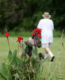 Teven Valley Golf Course - Inverell Accommodation 3