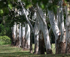 Teven Valley Golf Course - Inverell Accommodation 1