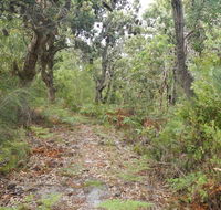 Kinchela Trig Lookout walk - Inverell Accommodation