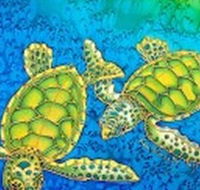 Sea Silks Gallery - Inverell Accommodation