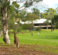Pambula Merimbula Golf Club - Inverell Accommodation