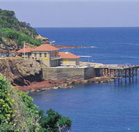 Merimbula Aquarium - Inverell Accommodation