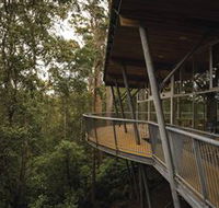 Tarkine Forest Adventures - Dismal Swamp - Inverell Accommodation