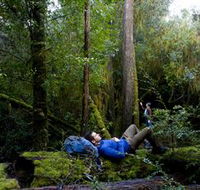 The Tarkine Drive - Inverell Accommodation