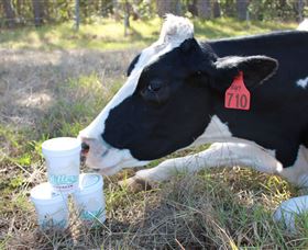 Millers Ice Cream - Inverell Accommodation 2