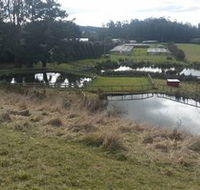 Guide Falls Farm - Inverell Accommodation