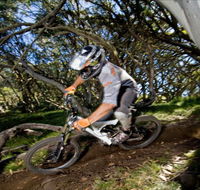All Terrain Cycles - Inverell Accommodation
