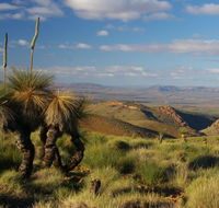 4WD Aussie Outback Adventures - Inverell Accommodation