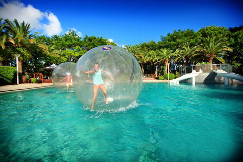 Time Out Adventures - Segway, Laser Clay, Water Balls And More - Inverell Accommodation 2