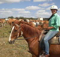Myella Farm Stay Tours - Inverell Accommodation
