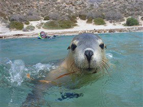 Calypso Star Charters - Inverell Accommodation 0