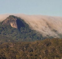 North Queensland Wildscapes Phototours - Inverell Accommodation