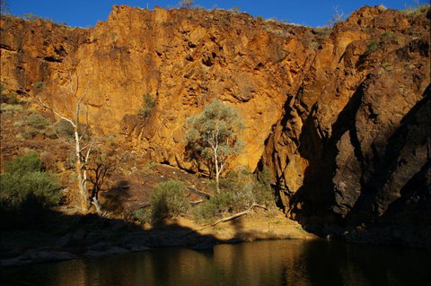 Aussie Heritage Tours - Inverell Accommodation 6