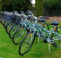 Barossa Bike  - Inverell Accommodation