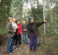 Great Western Tiers Forest Walks Tasmania - Inverell Accommodation