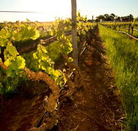 Kaesler Old Vine Vineyard Tour - Inverell Accommodation
